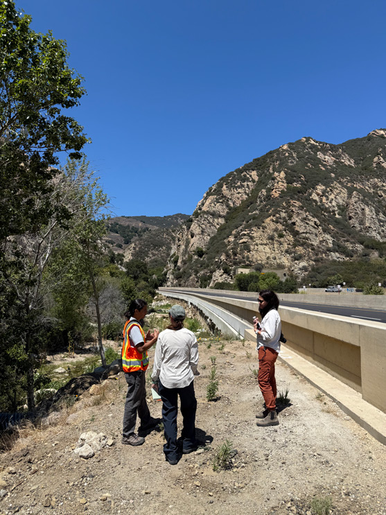 gaviota-coast-5