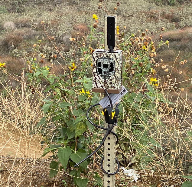 Identifying wildlife crossings